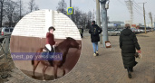 Ярославскую наездницу дисквалифицировали за избиение лошади на 2 года