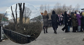 "Кому он мешал?": ярославцы возмущены вырубкой яблоневого сада на Волжской набережной