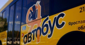 Ярославцы пожаловались на автобусные сиденья, неудобные даже при росте 160 см
