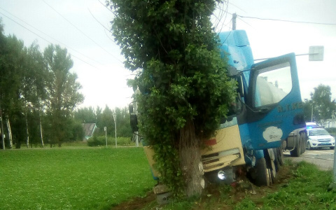 У НПЗ в Ярославле автоцистерна врезалась в дерево: пострадали трое. Кадры