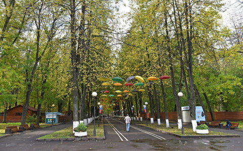 Из парка в центре Ярославля исчезли динозавры: где они теперь