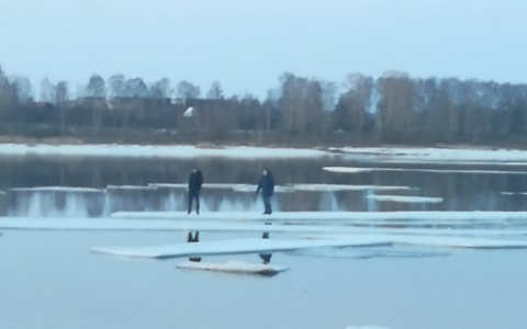 Подростков на  льдине унесло на середину Волги: кадры спасения из Рыбинска