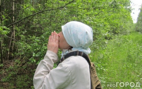 Прячьтесь, грибники: ярославцев оштрафуют за прогулку в лесу