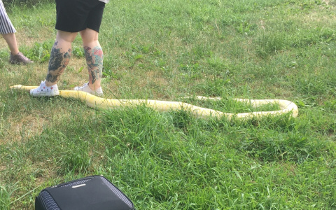 Мне скрывать нечего: хозяйка питона рассказала, почему гуляла со змеей у детского сада