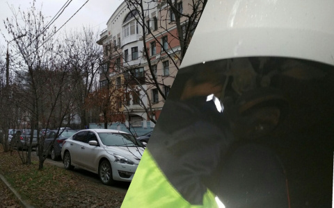 Заводил авто и услышал жуткий вой: в Ярославле щенка зажало в двигателе машины