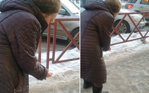 "Потратила копеечную пенсию": ярославская бабушка посыпала солью центр города