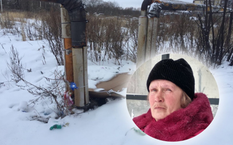 «Рыдала на пепелище»: спасенная ярославцами бездомная раскрыла свою тайну