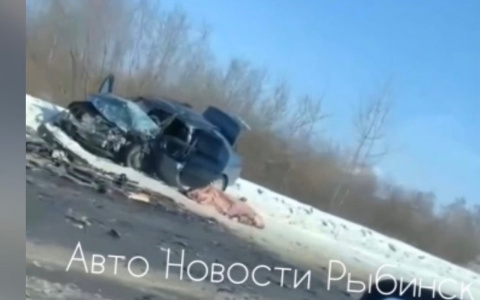 "Это жуть": труп погибшего в ДТП на дороге шокировал жителей Рыбинска