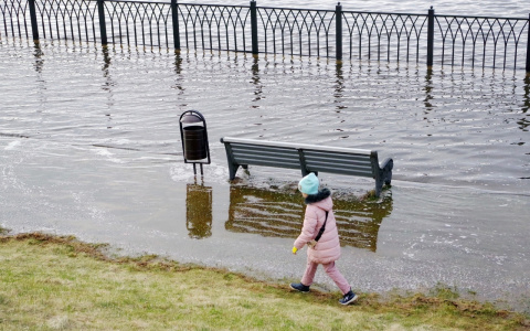 Случается раз в 60 лет: спасатели рассказали о критическом потопе в Ярославле