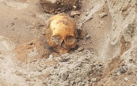 В Ярославле на Волжской набережной найден скелет