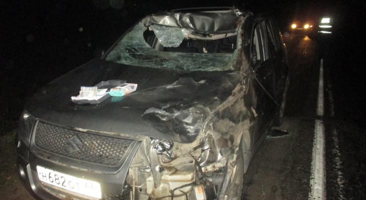 В Ярославской области выскочивший на дорогу лось сломал водителю носс