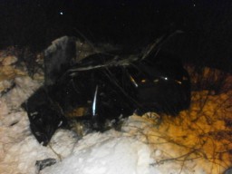 В Ярославской области водитель не справился с управлением: машина съехала в кювет и загорелась