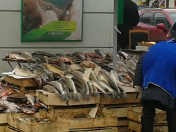 На улицах Ярославля опять торговали опасной рыбой