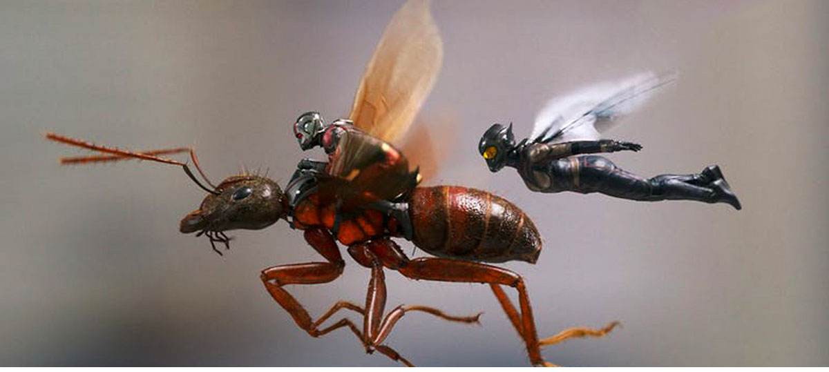 Человек-муравей и Оса 