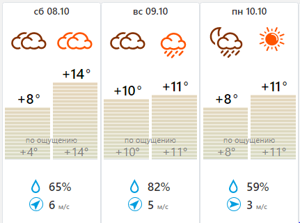 Погода в октябрьском на 10
