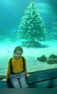 Подводная елка