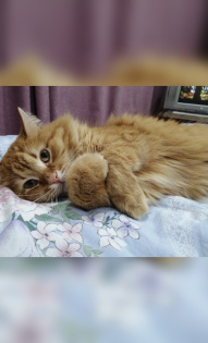 Маркова Полина