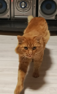 Мария Воробьёва