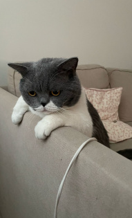 Александр Иванов