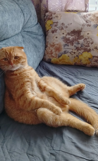 Екатерина Ходотова