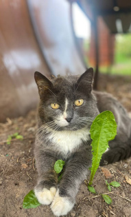Екатерина Скворцова