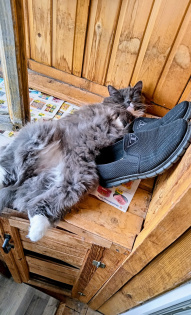 Нескоромная Ольга 