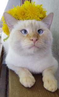 Зарубаева Светлана