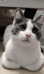 Надежда Васильева