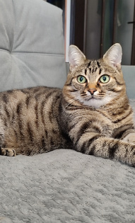 Макарова Татьяна Вячеславовна 