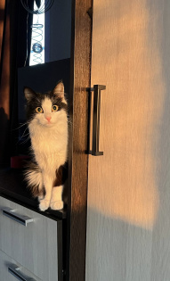 Бусинка, Алена Голубцова