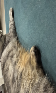 Подгорелый кексик