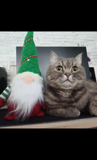 Андрей и Саймон 