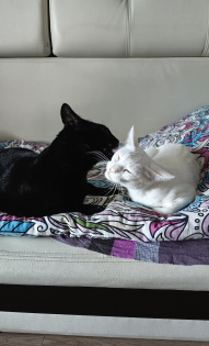 Это любовь!!!