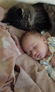 Наш любимый Бакс 