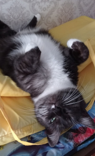 Александра 