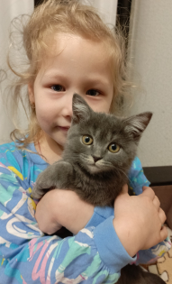 Елена