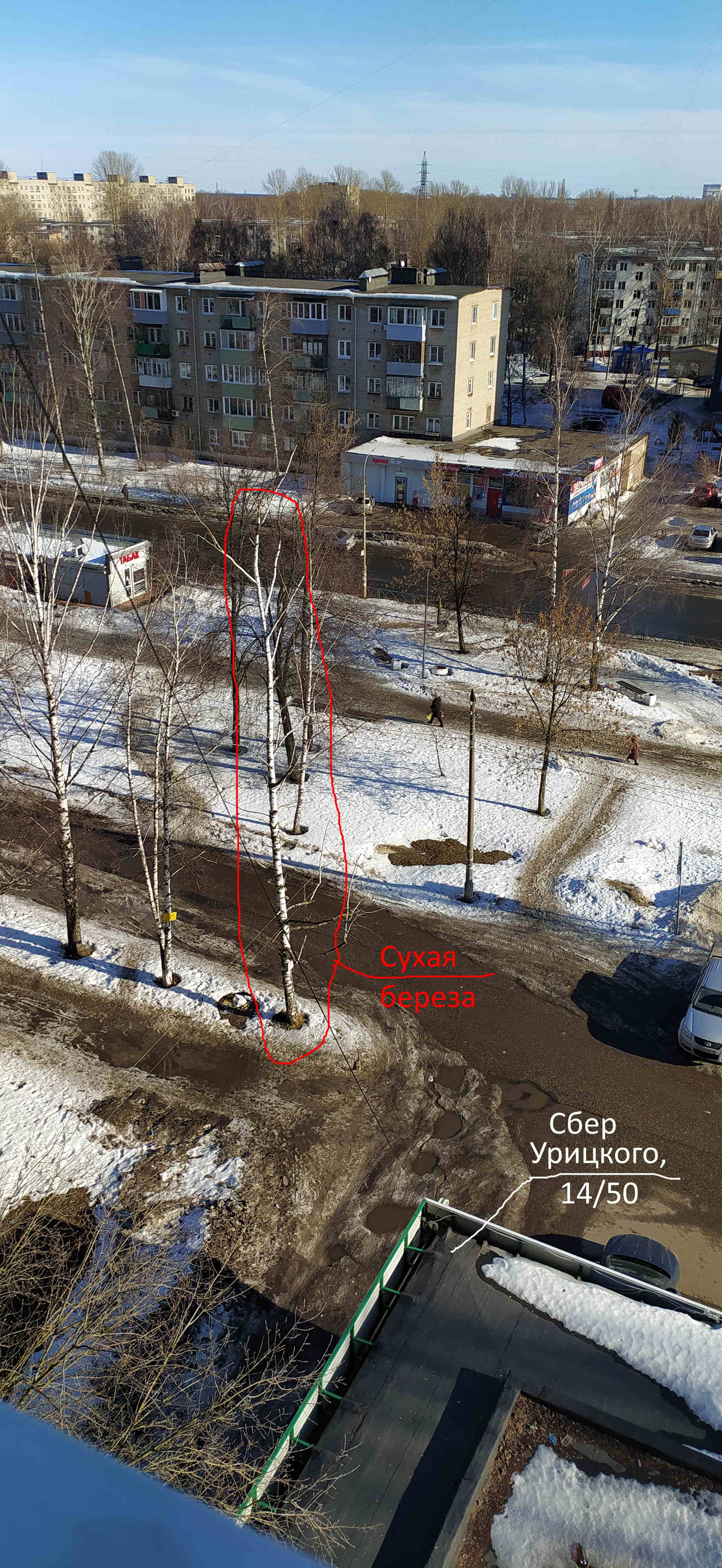 Изображение к жалобе