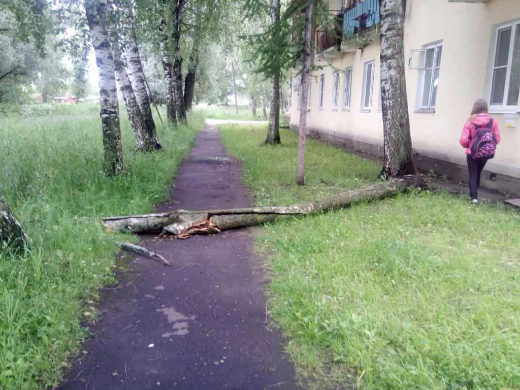 Подслушано в рыбинске. Переборы Рыбинск. Переборы Рыбинск улица Веденеева 16. Переборы поселок. Переборы район Рыбинск 2020.