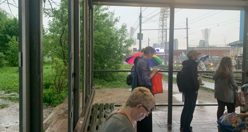 Манящие: носители какой группы крови выделяют феромоны