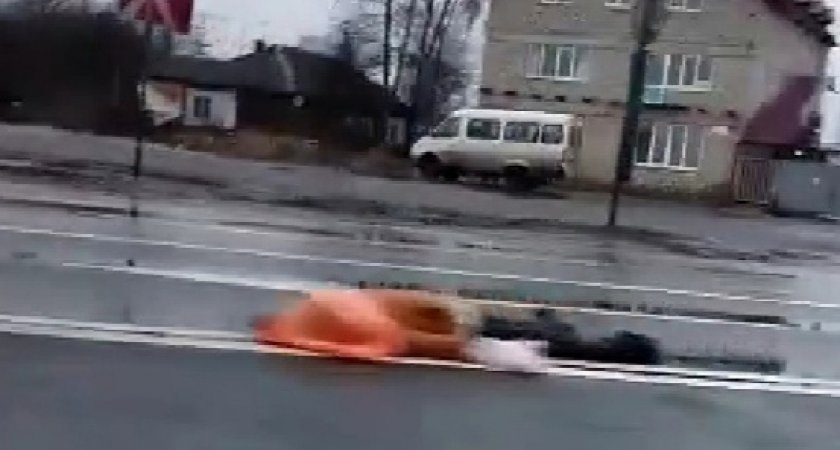  Под Ярославлем иномарка насмерть сбила мужчину