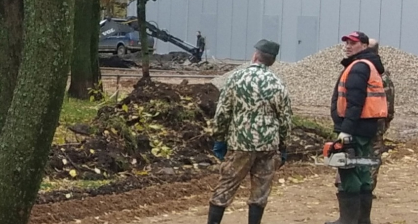 "Все поуничтожали": в Ярославле вырубают Юбилейный парк