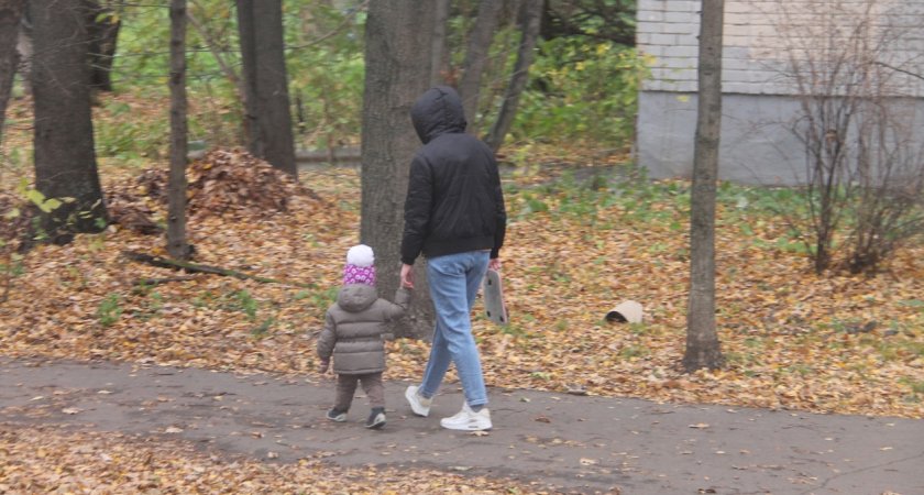 Последний теплый день: синоптики предупредили ярославцев о природных катаклизмах ноября