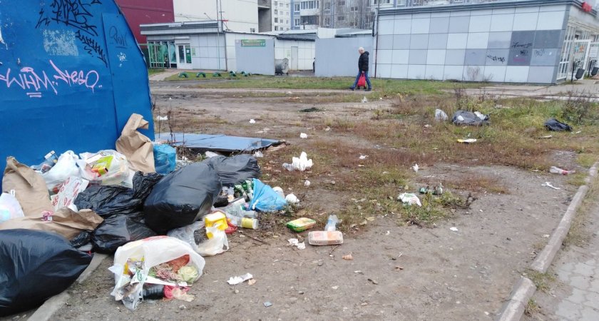"Потерпите до 2024-го и не раскачивайте лодку": ярославцы в шоке от неубранного мусора