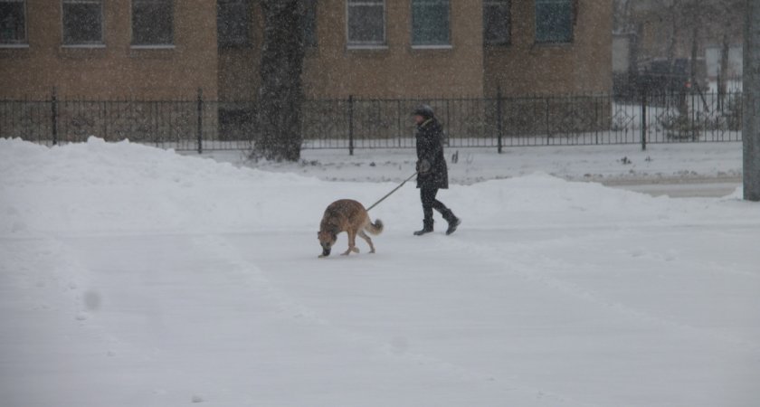 Порция снега и дождей: синоптики рассказали, что ждет ярославцев