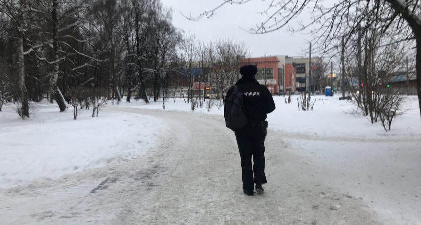 Фанат русской попсы из Ярославля избил полицейского за требование сделать потише