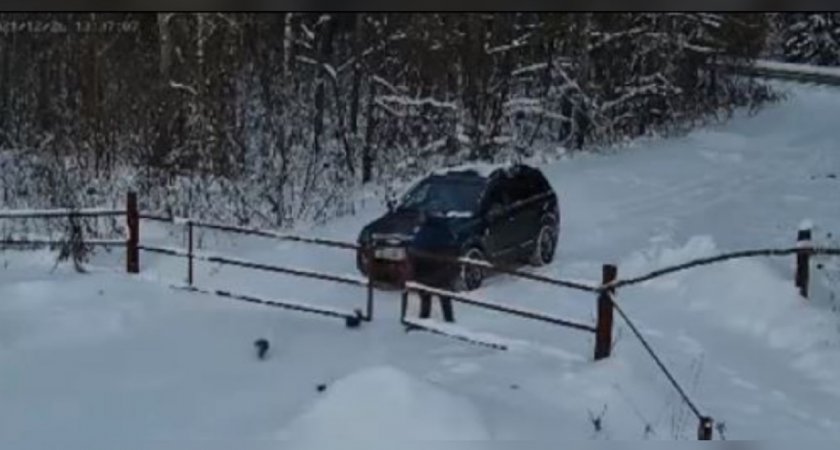 "Чтоб кошечки ему постоянно снились": ярославец выкинул животных в снег и уехал