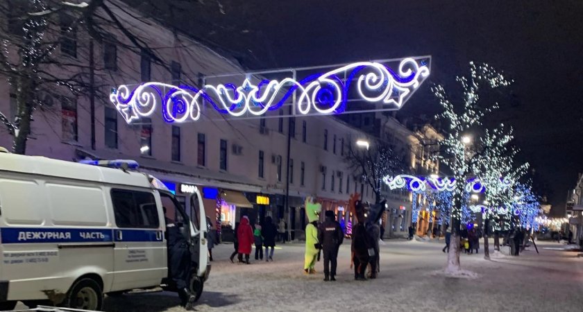 В полиции Ярославля допросили ростовых кукол-коней, вымогающих деньги за фото