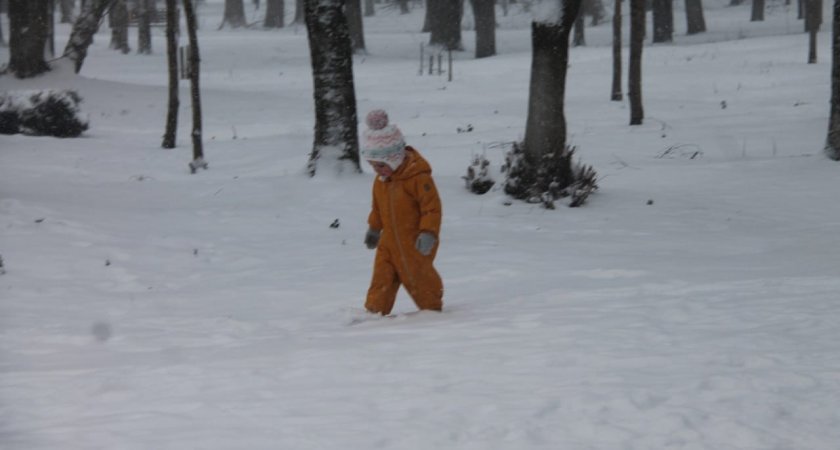 В Ярославле у пьяной матери дети замерзали на остановке