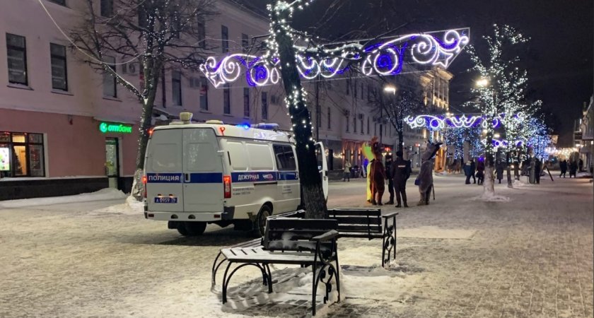 Платят от 80 тысяч: в Ярославле открылась вакансия аниматоров-лошадей, ослов и жирафов