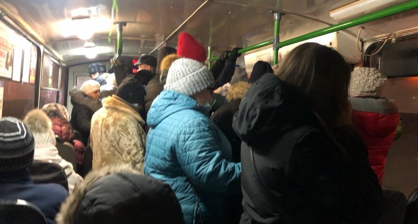 «Брат, куда ехать?»: ярославцы массово жалуются на новые автобусы